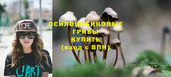 мяу мяу мука Абдулино