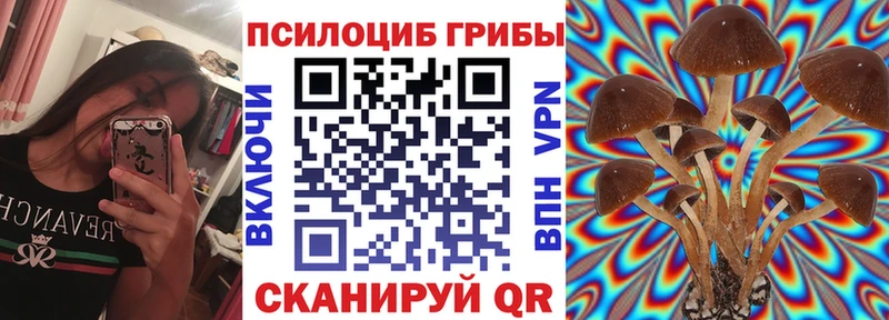 что такое наркотик Белоозёрский Псилоцибиновые грибы MAGIC MUSHROOMS